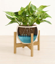 Load image into Gallery viewer, Shiny EggWhite stand:bamboo

