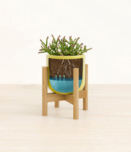 Load image into Gallery viewer, Key Lime Yellow stand:bamboo
