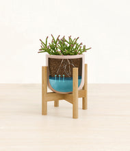 Load image into Gallery viewer, Sandy Pink stand:bamboo
