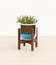 Load image into Gallery viewer, Cotton White stand:walnut

