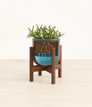 Load image into Gallery viewer, Iron Gray stand:walnut
