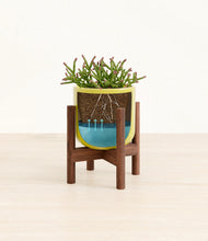 Load image into Gallery viewer, Key Lime Yellow stand:walnut
