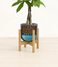 Load image into Gallery viewer, Iron Gray stand:bamboo
