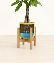 Load image into Gallery viewer, Key Lime Yellow stand:bamboo
