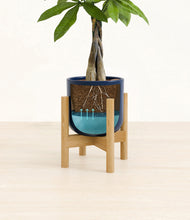 Load image into Gallery viewer, Twilight Blue stand:bamboo
