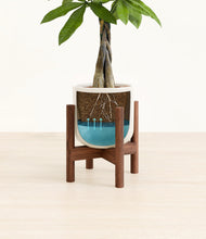 Load image into Gallery viewer, Cotton White stand:walnut
