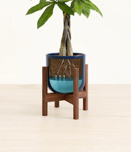 Load image into Gallery viewer, Twilight Blue stand:walnut
