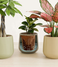 Load image into Gallery viewer, Earthy stand:all
