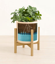 Load image into Gallery viewer, Cream stand:bamboo
