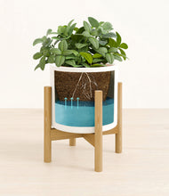 Load image into Gallery viewer, White stand:bamboo
