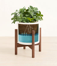 Load image into Gallery viewer, White stand:walnut
