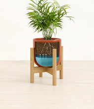 Load image into Gallery viewer, Glossy Red stand:bamboo
