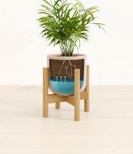 Load image into Gallery viewer, Sandy Pink stand:bamboo
