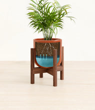 Load image into Gallery viewer, Glossy Red stand:walnut
