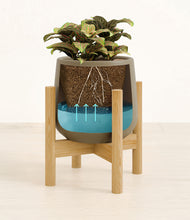 Load image into Gallery viewer, Olive stand:bamboo

