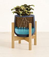 Load image into Gallery viewer, Deep Navy stand:bamboo
