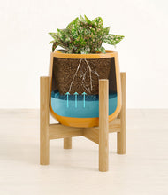 Load image into Gallery viewer, Mustard stand:bamboo
