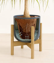 Load image into Gallery viewer, Iron Gray stand:bamboo
