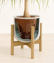 Load image into Gallery viewer, Natural Bamboo stand:bamboo
