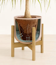 Load image into Gallery viewer, Sandy Pink stand:bamboo
