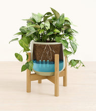 Load image into Gallery viewer, Turquoise stand:bamboo
