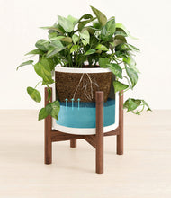 Load image into Gallery viewer, White stand:walnut
