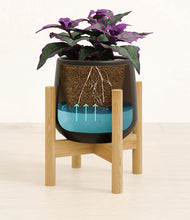 Load image into Gallery viewer, -
