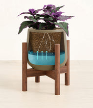 Load image into Gallery viewer, -
