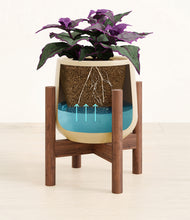 Load image into Gallery viewer, -
