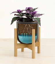 Load image into Gallery viewer, -
