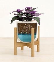 Load image into Gallery viewer, -
