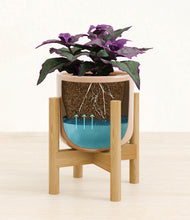 Load image into Gallery viewer, -
