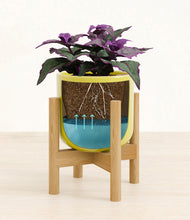 Load image into Gallery viewer, -
