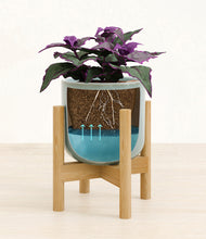 Load image into Gallery viewer, -
