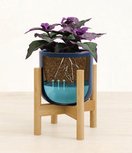 Load image into Gallery viewer, -
