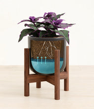 Load image into Gallery viewer, -
