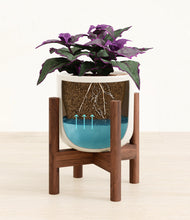 Load image into Gallery viewer, -
