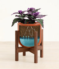 Load image into Gallery viewer, -
