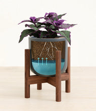 Load image into Gallery viewer, -
