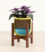 Load image into Gallery viewer, -
