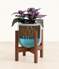 Load image into Gallery viewer, -
