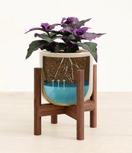 Load image into Gallery viewer, -
