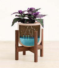 Load image into Gallery viewer, -
