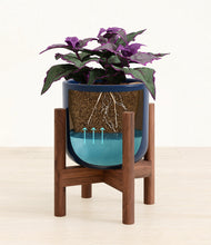 Load image into Gallery viewer, -
