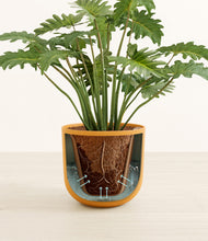 Load image into Gallery viewer, Natural Bamboo stand:all
