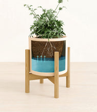 Load image into Gallery viewer, Cream stand:bamboo
