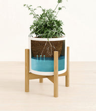 Load image into Gallery viewer, White stand:bamboo
