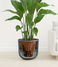 Load image into Gallery viewer, Iron Gray stand:all
