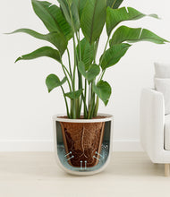 Load image into Gallery viewer, Natural Bamboo stand:all
