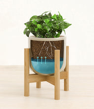 Load image into Gallery viewer, Sage Green stand:bamboo
